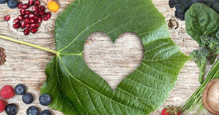 image of leaf and fruit